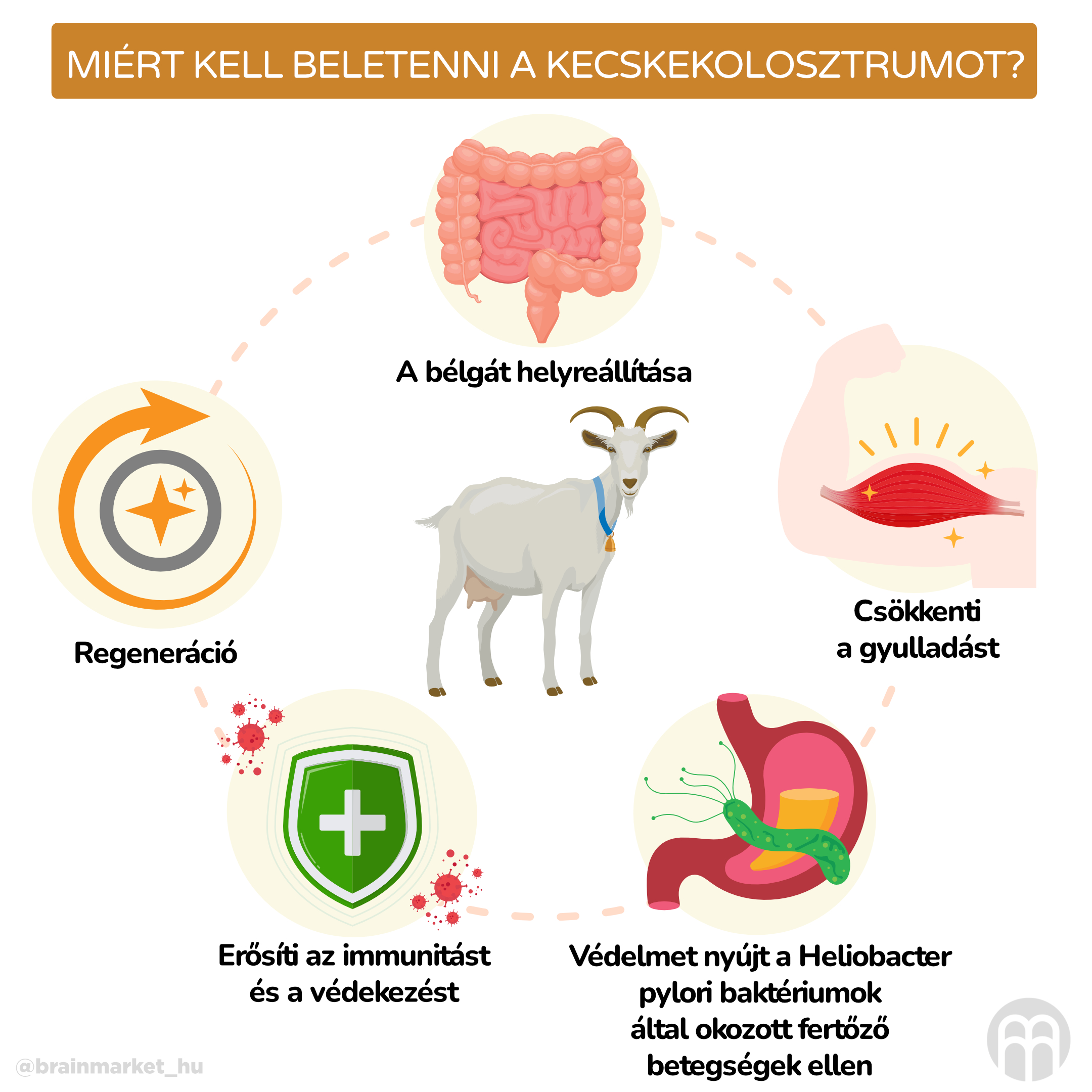 Proč zařadit kozí kolostrum__inforgafika_hu